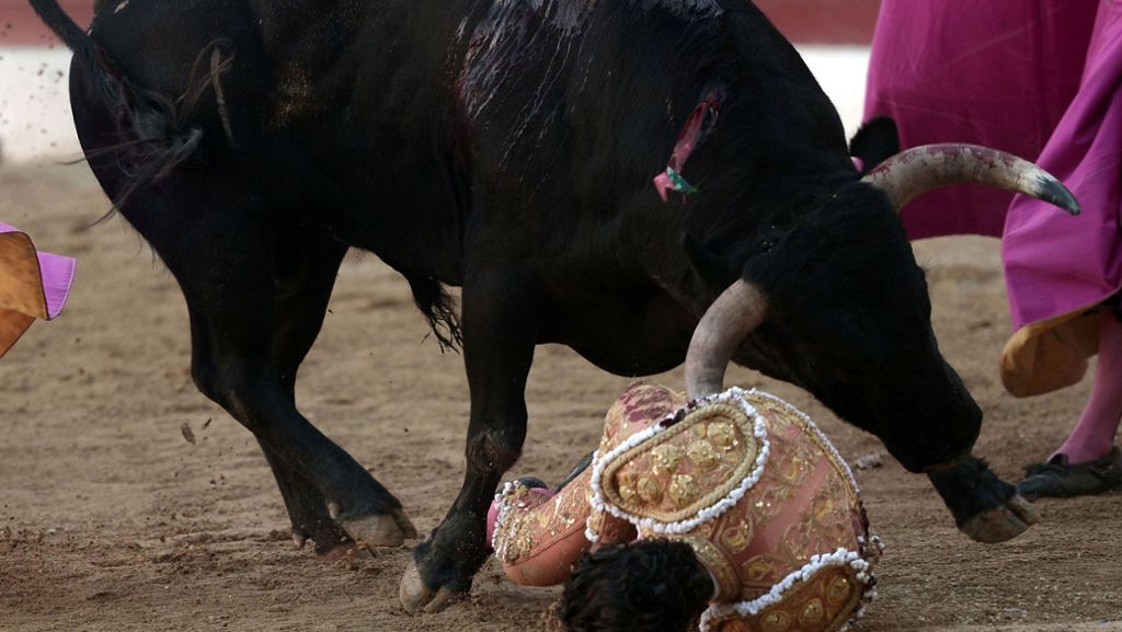 Aire-sur-l’Adour: Stierkämpfer wird von Bullen aufgespießt und tödlich verletzt