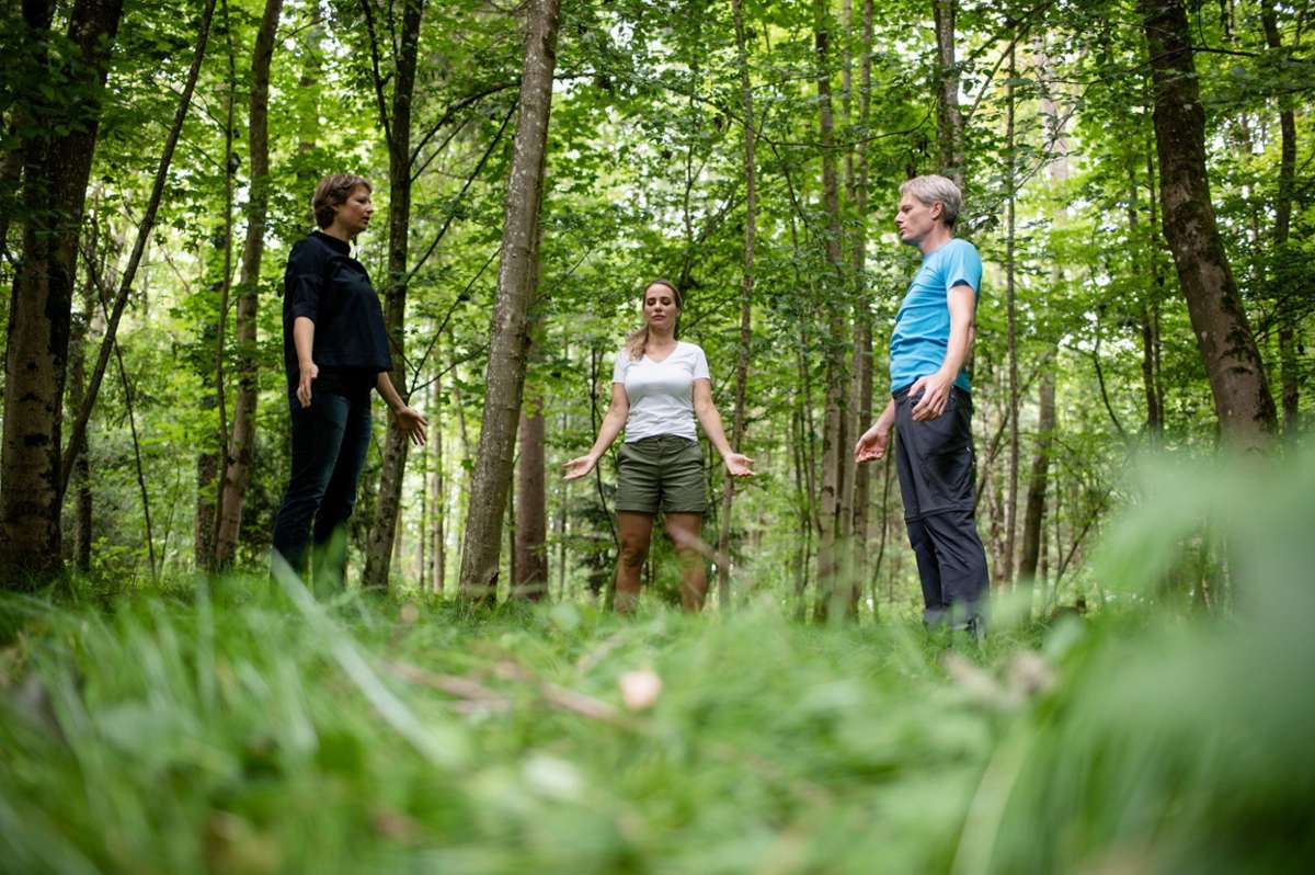Bad Füssing bietet neue Therapie- und Erholungsangebote in den Bereichen Waldbaden und Waldgesundheit.