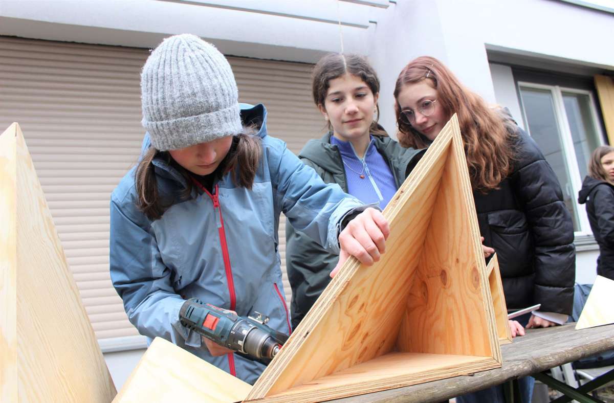 Schüler des Dillmann-Gymnasiums bei der Arbeit an einer Nisthilfe Foto: Caroline Holowiecki