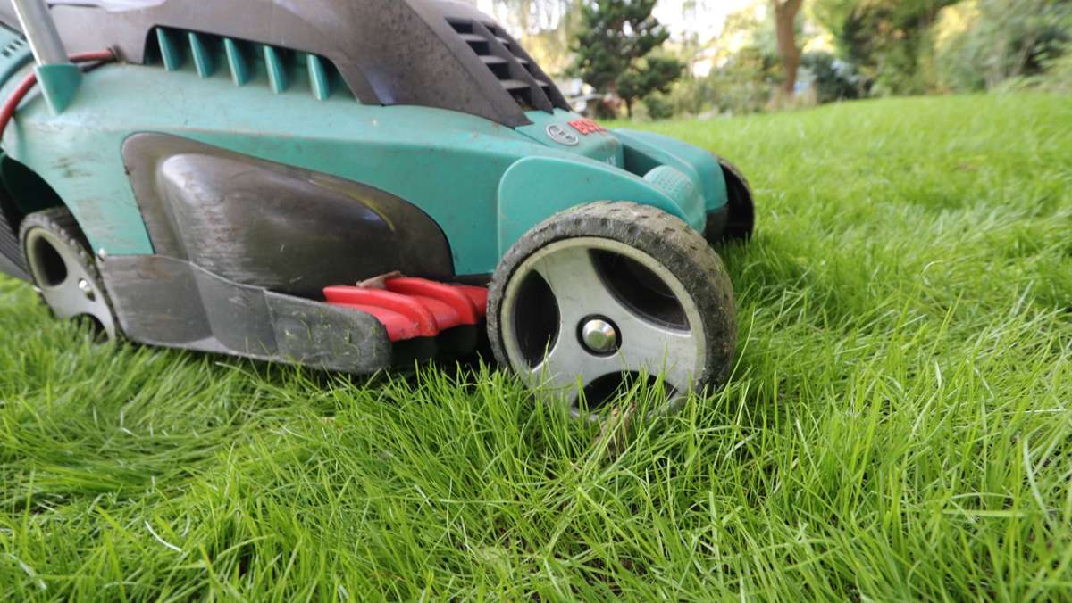  Egal, wie Sie zum Rasenmähen stehen, sollten Sie einige wichtige Fakten beachten, damit der grüne Teppich eine Augenweide bleibt. Und: Das sollten Sie bei Mährobotern unbedingt beachten. 