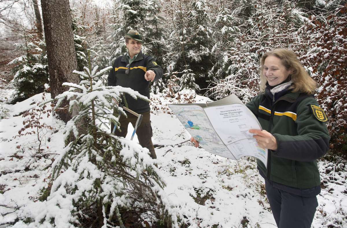 Elke Rimmele-Mohl und Johannes Fischbach-Einhoff sind beim Forstamt des Landkreises Esslingen angestellt. Im Forstrevier Plochingen, das sich bis auf den Schurwald erstreckt, erklären sie ihre Arbeit.