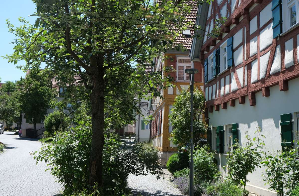 Die „schönste Straße“ Deizisaus, sagt Dorner - die Marktstraße.
