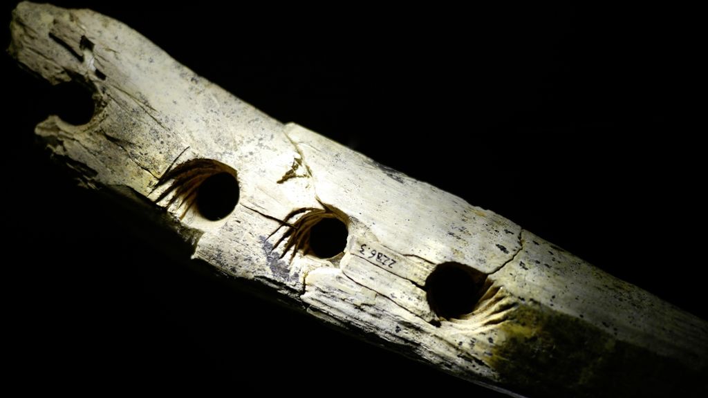 40 000 Jahre altes Werkzeug: Hightech-Fund aus der Steinzeit