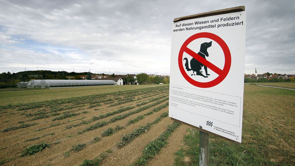 Entsorgungsdiskussion in Freiberg/Neckar: Hundekotbeutel türmen sich zu  Plastikmüllbergen auf