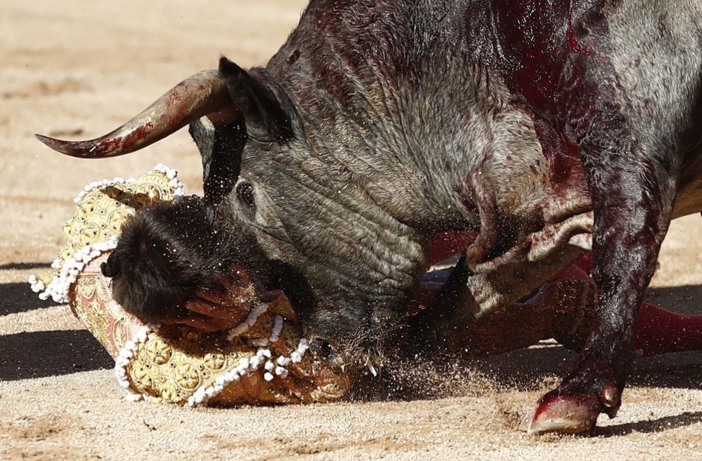 Dieser Torero hat den Stierkampf trotz Kollision mit dem Bullen überlebt.