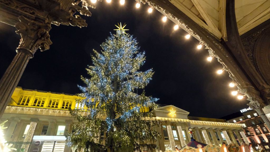 Stuttgarter Weihnachtsbaum steht ab Mittwoch: Weihnachtsbaum war zu breit für  Transport