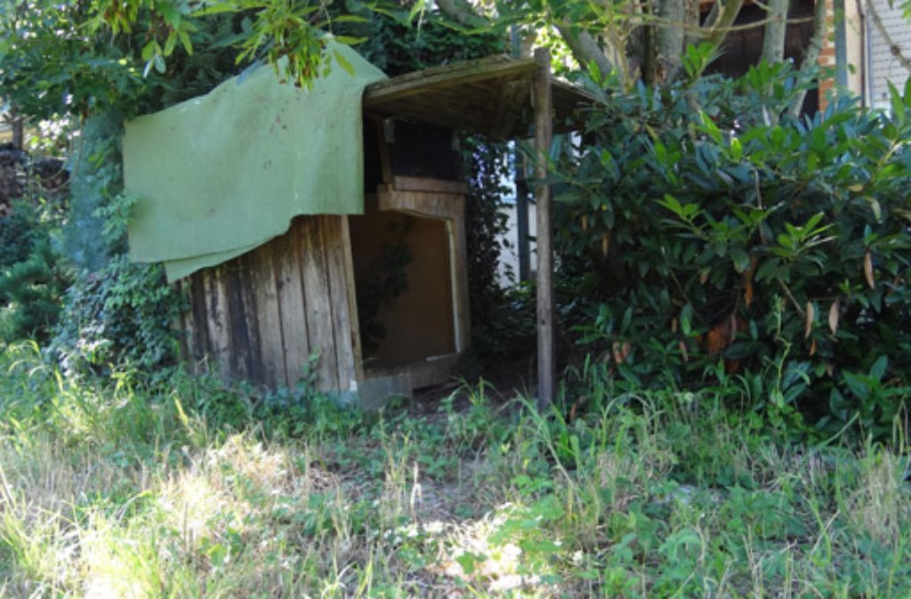 ... Lieblingsplätzchen: "Wir hatten 2001 für Susi eine Hütte gebaut", erinnert sich Frau Bartl, "anfangs verschwand sie noch ab und an in dem kleinen Häuschen, doch ...