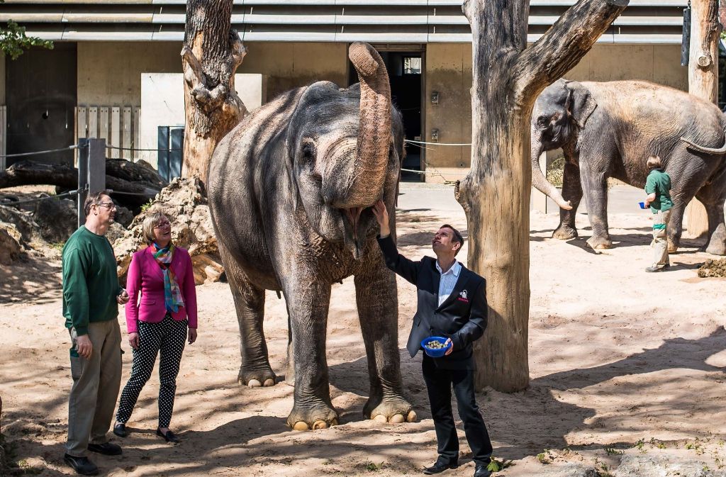 Wilhelmachef Thomas Kölpin und Finanzministerin Edith Sitzmann im Kontakt mit einer betagten Elefantendame. Foto: Lichtgut/Max Kovalenko