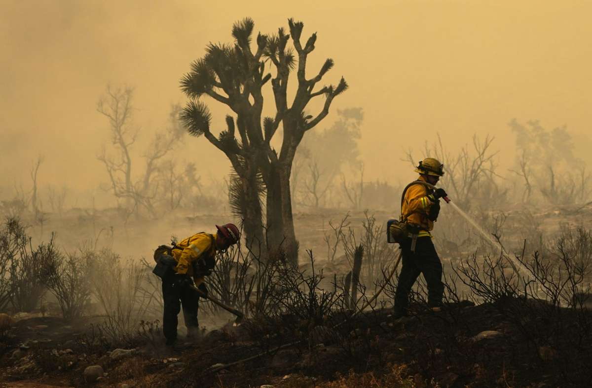 2020: Mitglieder der Feuerwehr von San Bernardino County, Kalifornien, spritzen heiße Stellen eines Feuers ab.