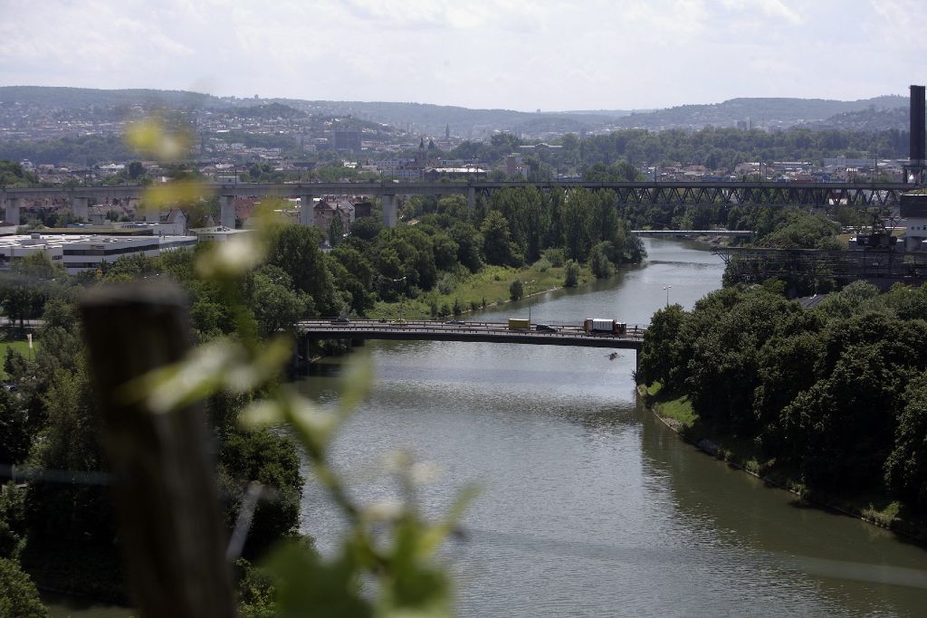 Blick über den Neckar.