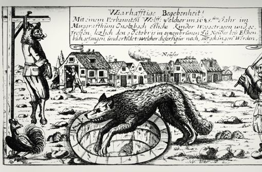 Laut einem Holzschnitt von 1685  hat ein Wolf mehrere Kinder getötet. Als er in einen Brunnen stürzte, überwältigte man ihn und hängte  ihn als „Werwolf“ an einen Galgen. Foto:  