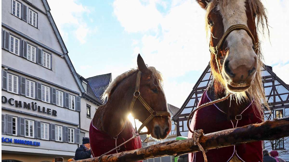 Leonberger Pferdemarkt abgesagt: 2022 ist ein gutes Datum für ein aufgefrischtes Fest