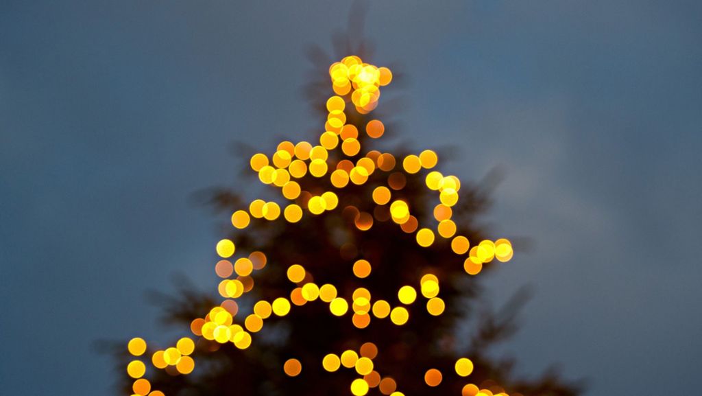 Freiburg: Acht Meter hoher Weihnachtsbaum gestohlen