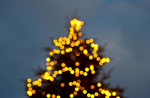 Der gestohlene Freiburger Weihnachtsbaum soll noch im Laufe der Woche ersetzt werden. (Symbolfoto) Foto: dpa/Daniel Bockwoldt