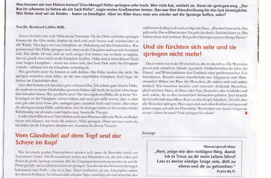 CDU-Kandidat Reinhard Löffler hat in Trottwar ein Plagiat unter seinem Namen drucken lassen.  Foto: StZ