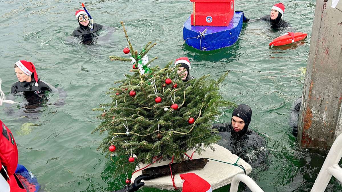 Nikolausschwimmen: Mutige springen in den eiskalten Bodensee