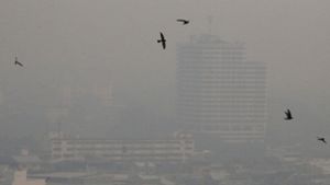 Dicke Luft in Chiang Mai: Extrem-Smog in Touristenstadt