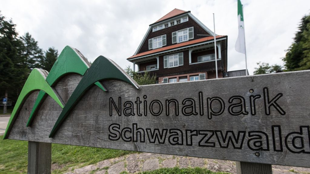 Unterwegs im Nationalpark Schwarzwald: Qualität, Stille – und ein Selfie mit Totholz