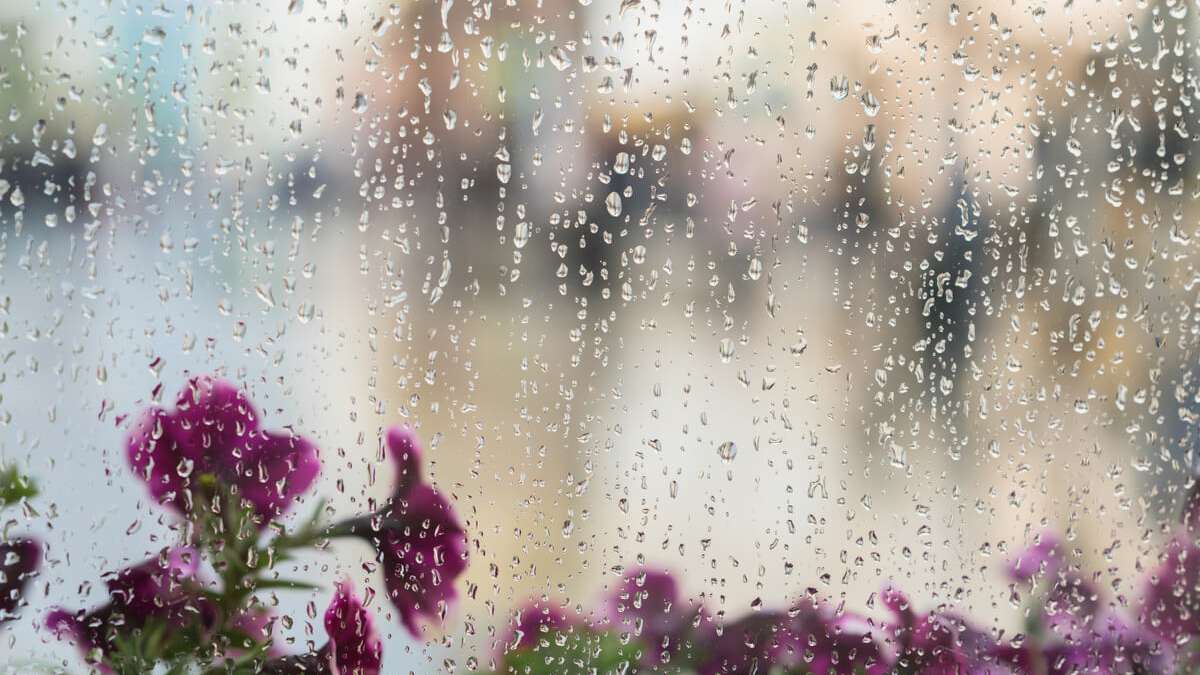 In diesem Artikel zeigen wir Ihnen, wie Sie vorgehen müssen, wenn Sie Ihre Fenster auch bei Regen putzen.