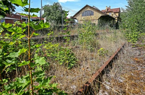 Die stillgelegte Bahnstrecke zwischen Markgröningen und Ludwigsburg soll reaktiviert werden. Foto: factum/Granville/Simon Granville/factum