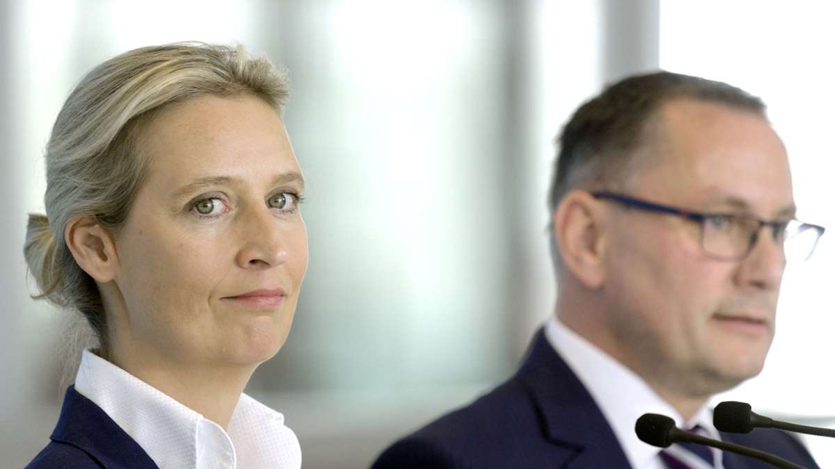 Wie viel Prozent hat die AfD? (2023/2024)