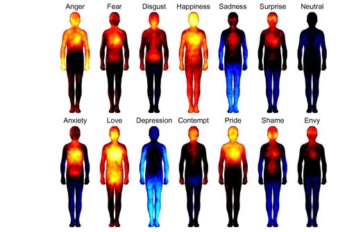 Der finnische Hirnforscher Lauri Nummenmaa hat seine Versuchspersonen gefragt, wo sie bestimmte Emotionen im Körper spüren. Das Bild zeigt die Ergebnisse: Rot und Gelb zeigen erhöhte Aktivität an, Blau steht für verringerte Aktivität. Die Emotionen in der oberen Reihe: Wut, Angst, Ekel, Freude, Traurigkeit, Überraschung, keine Emotion. Die Emotionen in der unteren Reihe: Sorge, Liebe, Niedergeschlagenheit, Abscheu, Stolz, Scham, Neid. Diese Studie passt zur Theorie des Neurowissenschaftlers António Damásio, der diese Woche an der Uni Tübingen zu Gast ist. Foto: PNAS