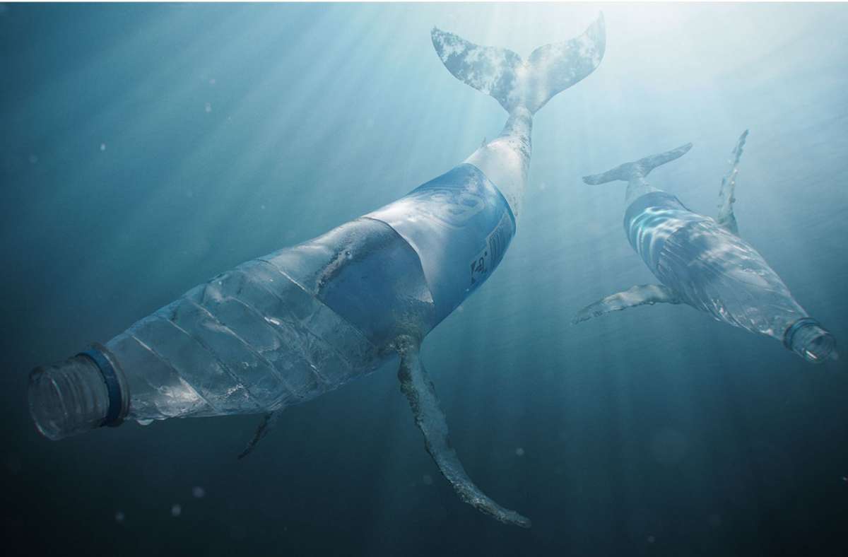 Plastikflaschen-Delfine: „The Beauty“ ist ein Plädoyer gegen die Vermüllung der Meere.
