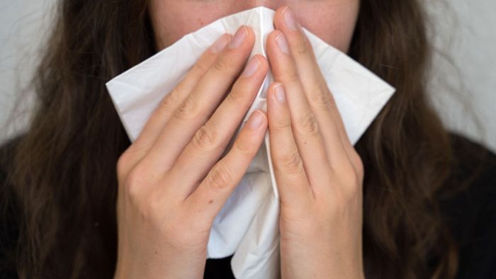 Humanes Metapneumovirus Wie Lange Ansteckend