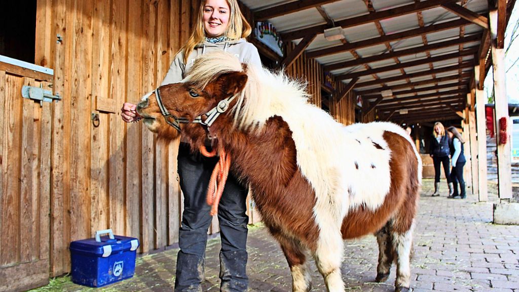 Neues Pony auf der Jugendfarm: Der dicke Emil ist in Riedenberg auf Diät