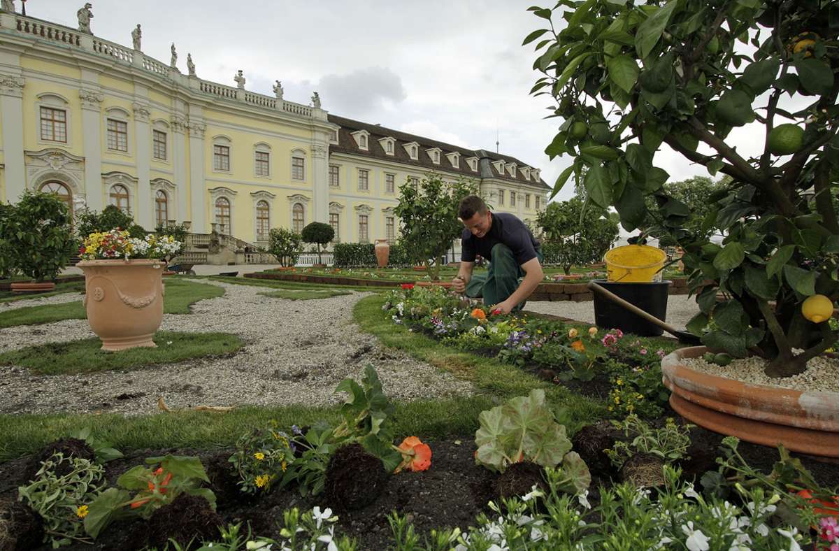 Vorbereitungen für die Barocken Gartentage – als Corona noch kein Thema war.