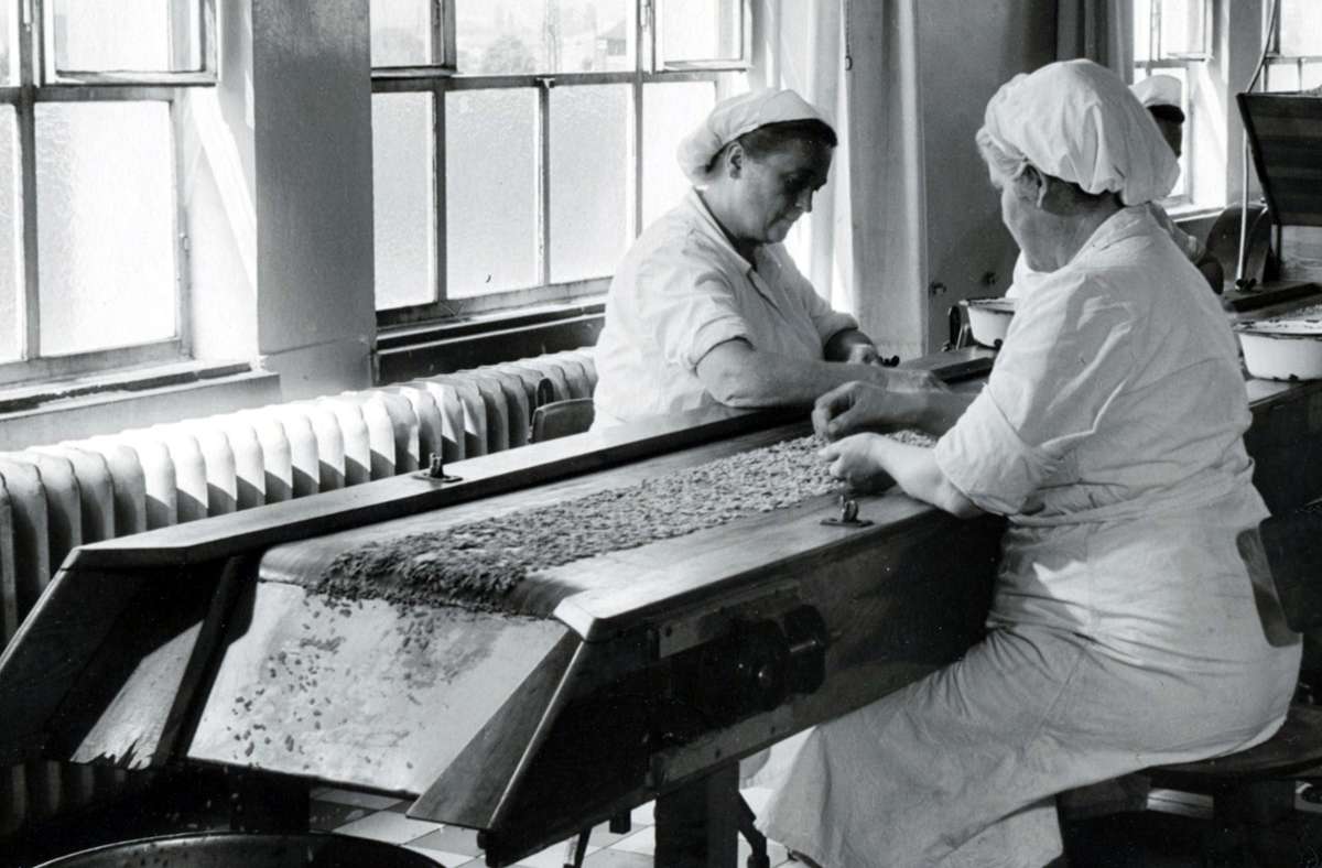 Die einstige Schokoladenproduktion in der Firma Eszet: Frauen sortieren Schokoladenbohnen.