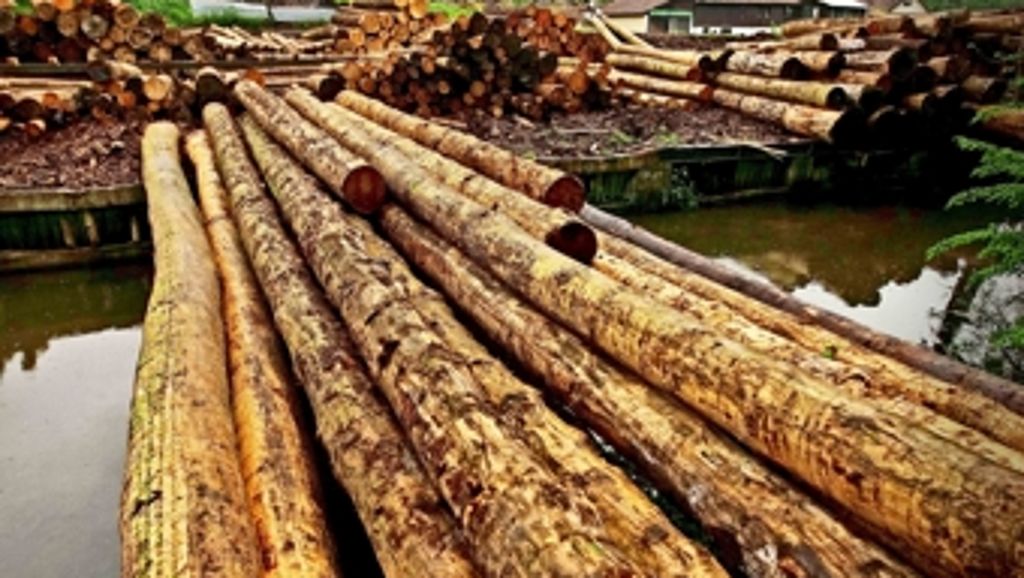 Rems-Murr-Kreis: Neue Strukturen für den Holzverkauf