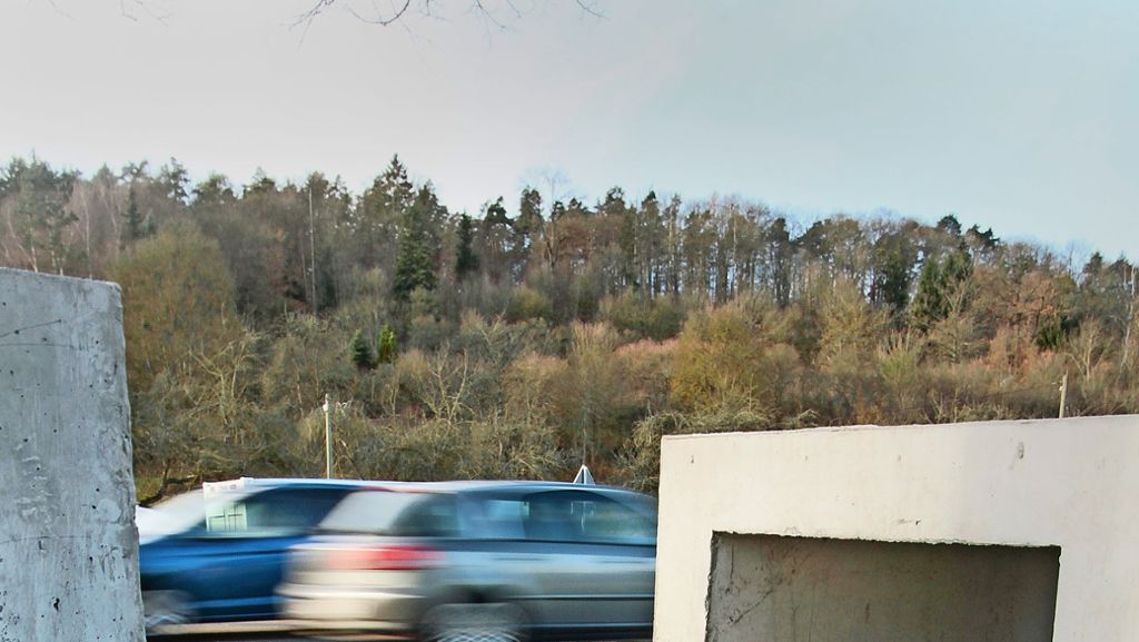 Naturschutz in Weil der Stadt: Krötentunnel: Behördenversuch Nummer 3