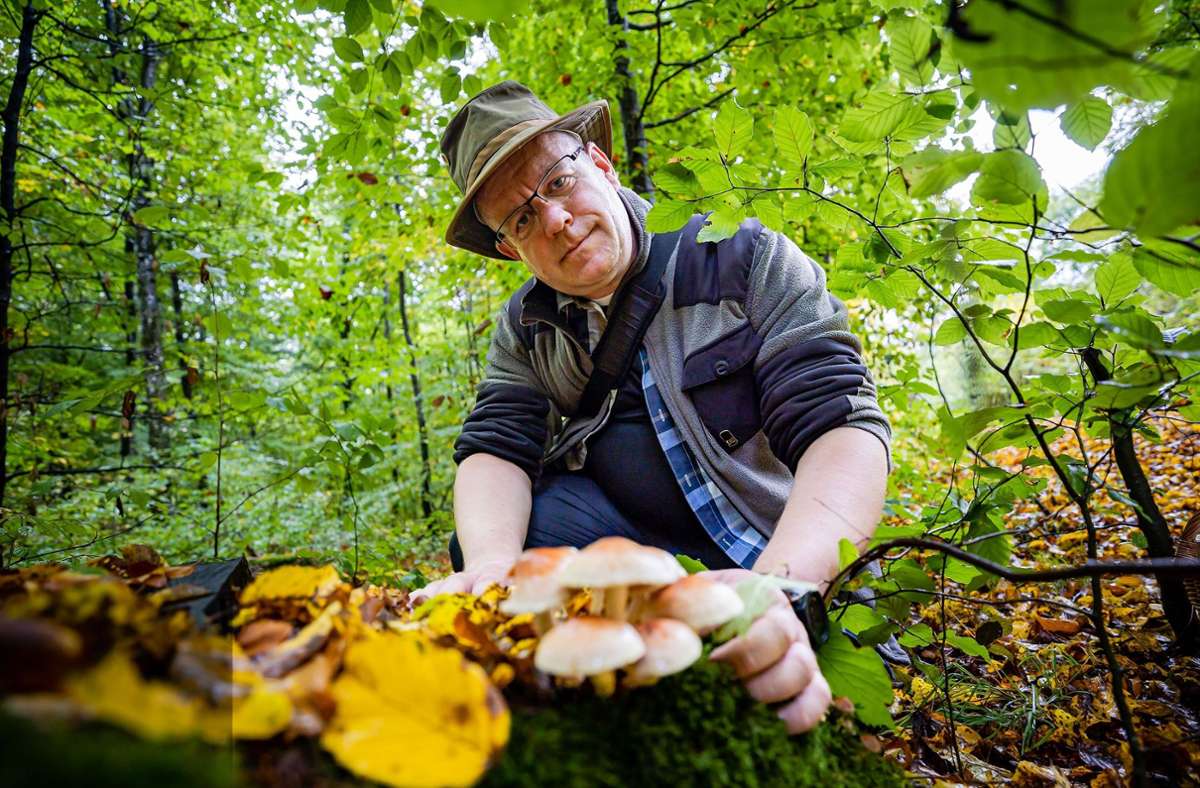 Stefan Lindner ist mit Pilzen vertraut.