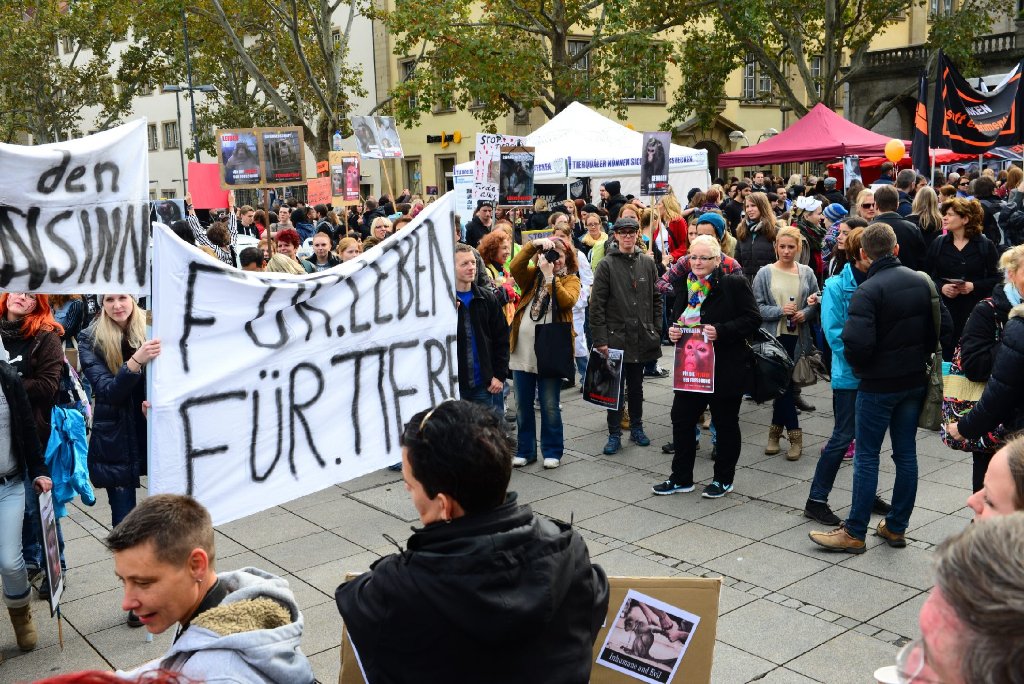 Tierschützer haben in Stuttgart gegen Versuche an Affen protestiert.