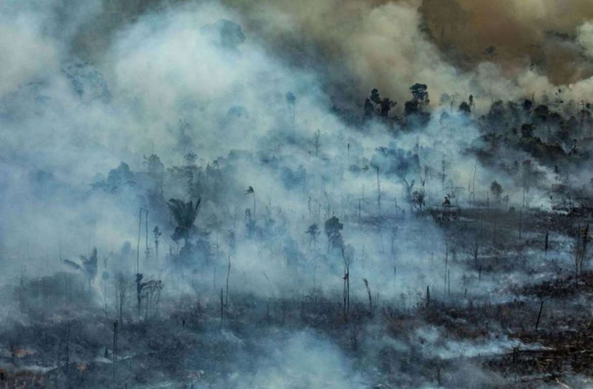 Rauch steigt auf aus einem verbrannten Feld in Jamanxim nahe der Stadt Novo Progresso im brasilianischen Staat Para: Die globale Landfläche umfasst rund 13 Milliarden Hektar Land. Davon sind etwa 3,2 Milliarden Hektar potenzielles Anbauland, wobei de facto knapp die Hälfte für die Landwirtschaft zur Verfügung steht.