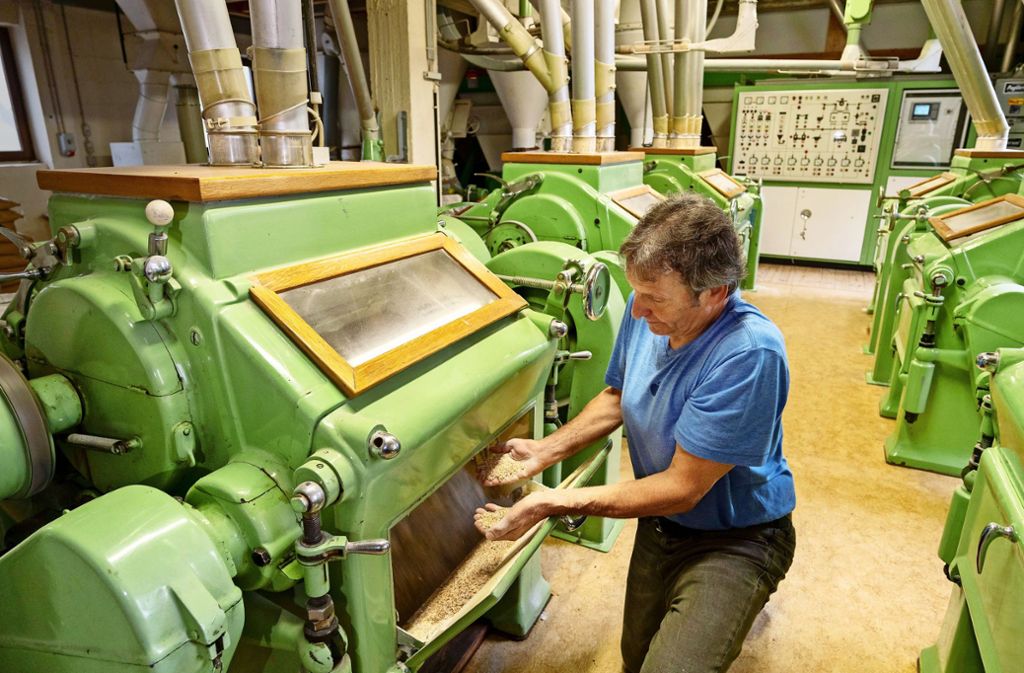 Sechs Maschinen mahlen in Oberjesingen das Mehl