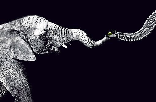 Der Bionic Handling Assistent ist dem Rüssel eines Elefanten nachempfunden. Er wurde 2010 mit dem Deutschen Zukunftspreis ausgezeichnet. Foto: Festo