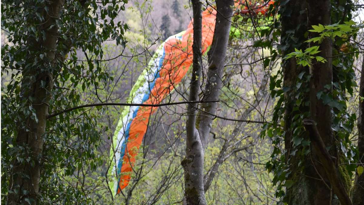 Baden-Baden: Gleitschirmpilot stürzt ab und bleibt in Bäumen hängen