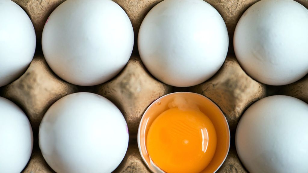 Salmonellen-Gefahr: Eier in vielen Bundesländern zurückgerufen