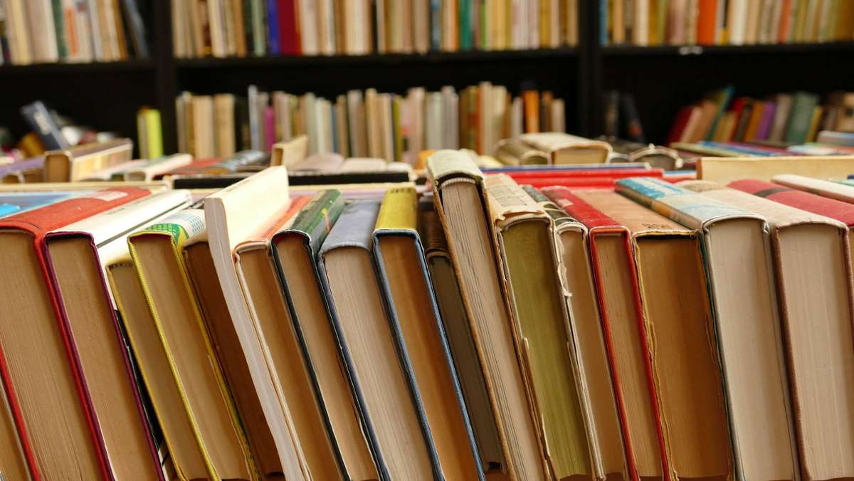 Diskussion um Bibliotheken: Können Büchereien im Kreis Ludwigsburg sonntags öffnen?