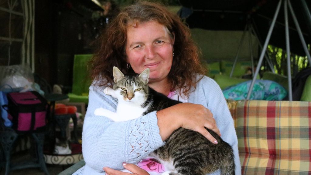 Tierliebe in Fellbach: Ein Ehepaar kämpft um sein Katzenparadies