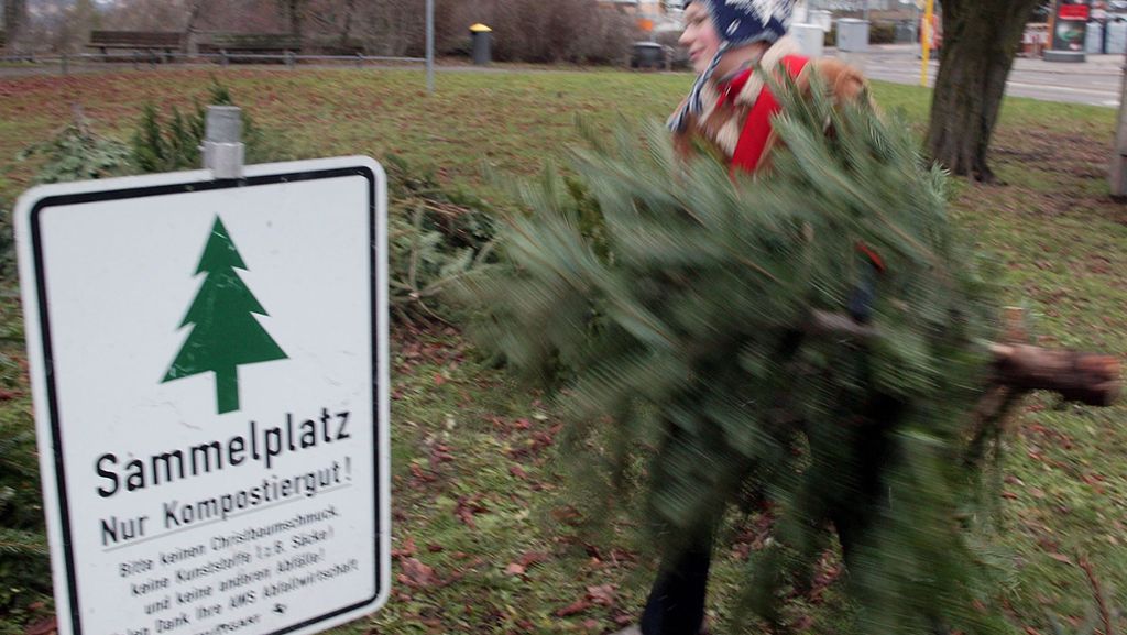 Sammelstellen in Bad Cannstatt: Weihnachtsbäume entsorgen