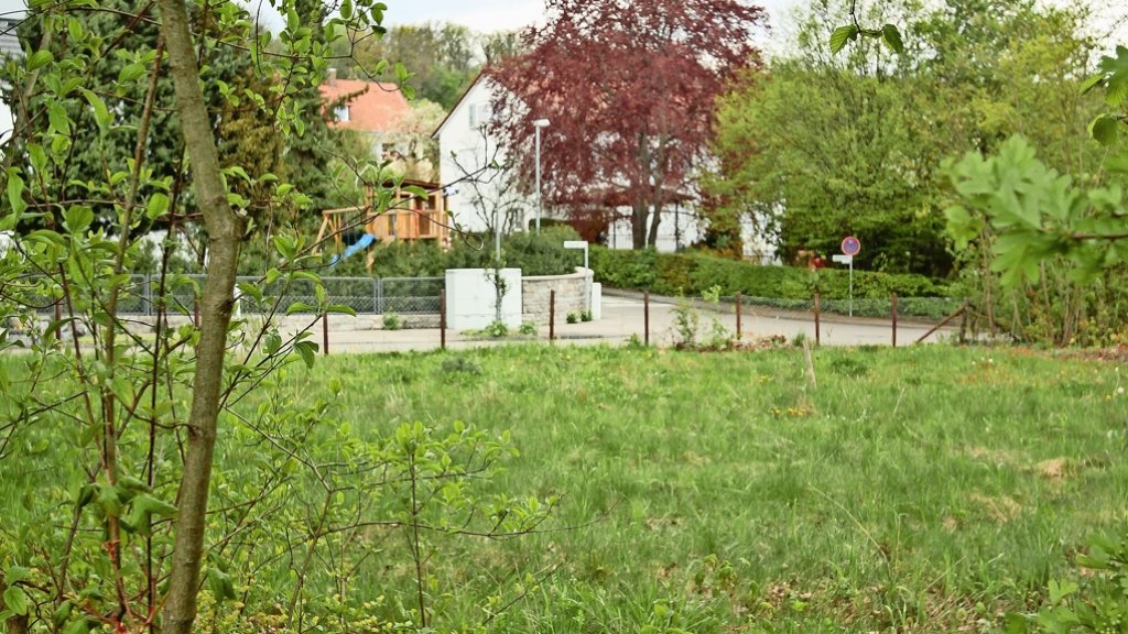Bürgerentscheid in Korntal-Münchingen: Die Stadt ist gespalten