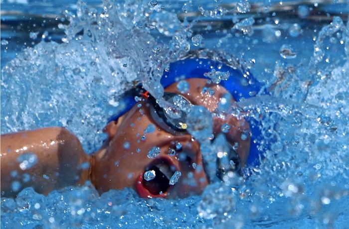 Spendenaktion im Hallenbad: Leonberger schwimmen für die Ukraine