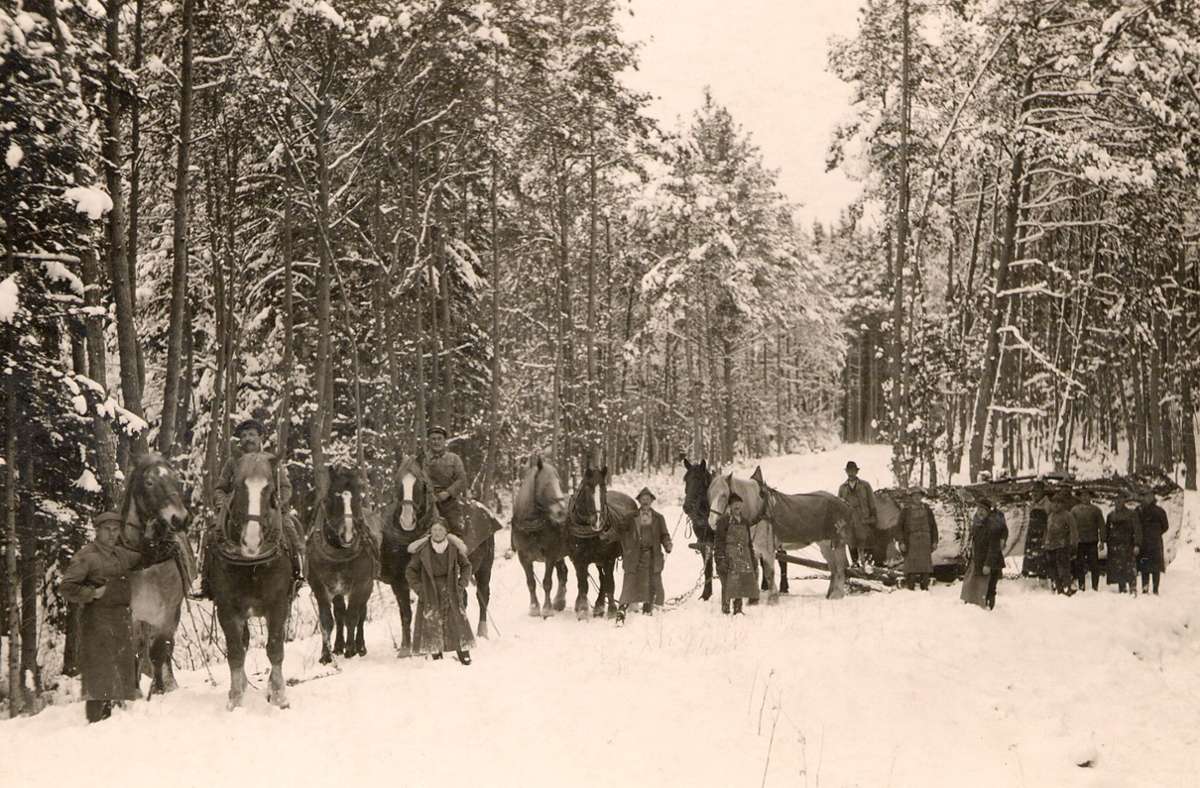 1937: Waldenbucher Holzgespanne im Winter