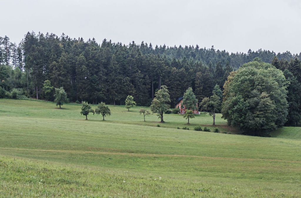 Versteckt liegt Thomas Bernhards drittes Haus am Waldrand von Niederpuchheim in der Gemeinde Ottnang bei Wolfsegg, ein sehr abgelegenes Ziegelhaus mit Bauerngarten. Vom Haus aus überblickte Bernhard das Voralpenland.