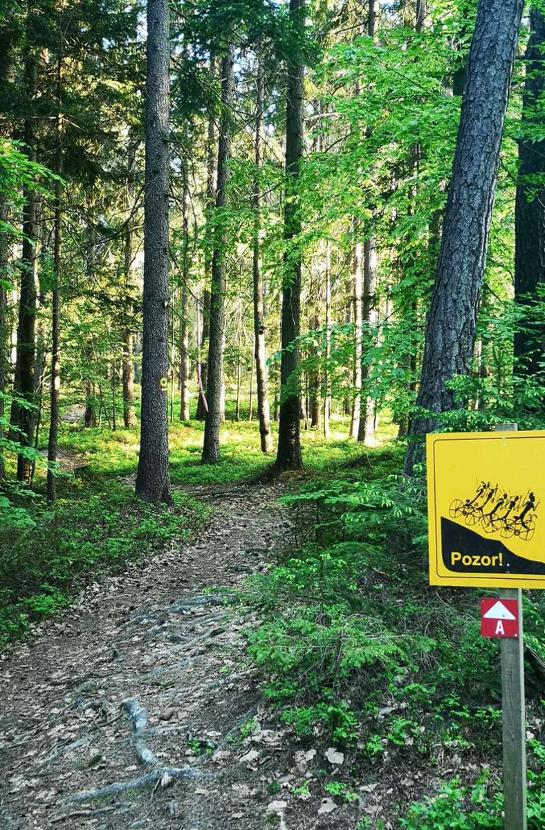 Quer durch den Wald fahren – das ist nicht erlaubt. Die Schwierigkeit der Trails ist ausgeschildert.
