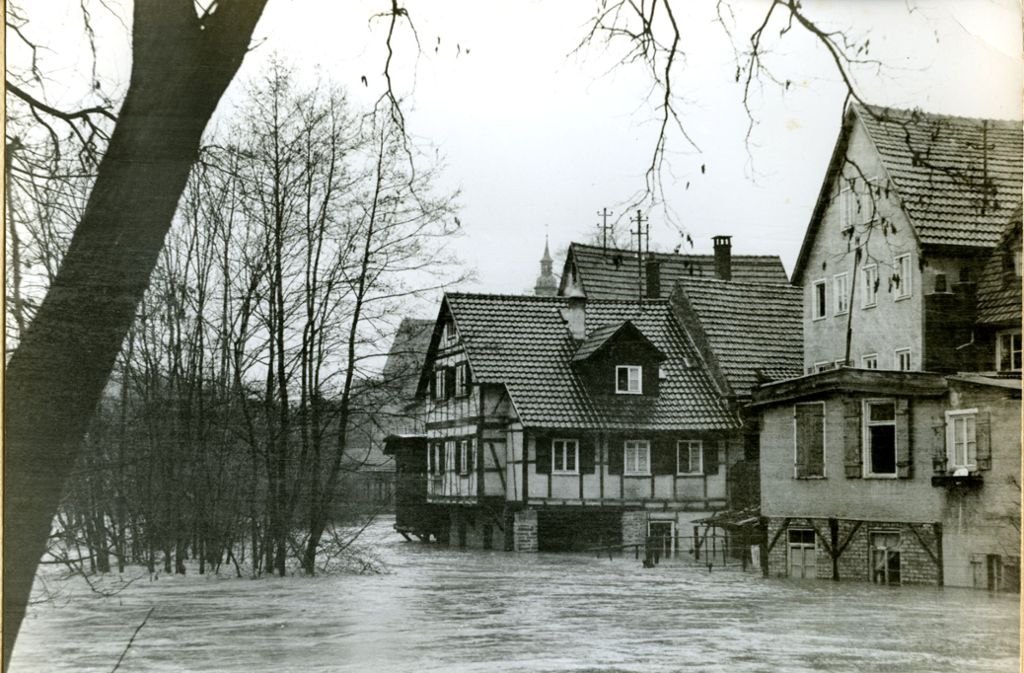 Wo war nochmal die Erleninsel? Das Hochwasser 1956 hatte die Grünfläche komplett geflutet, nur noch einige Bäume ragten heraus.
