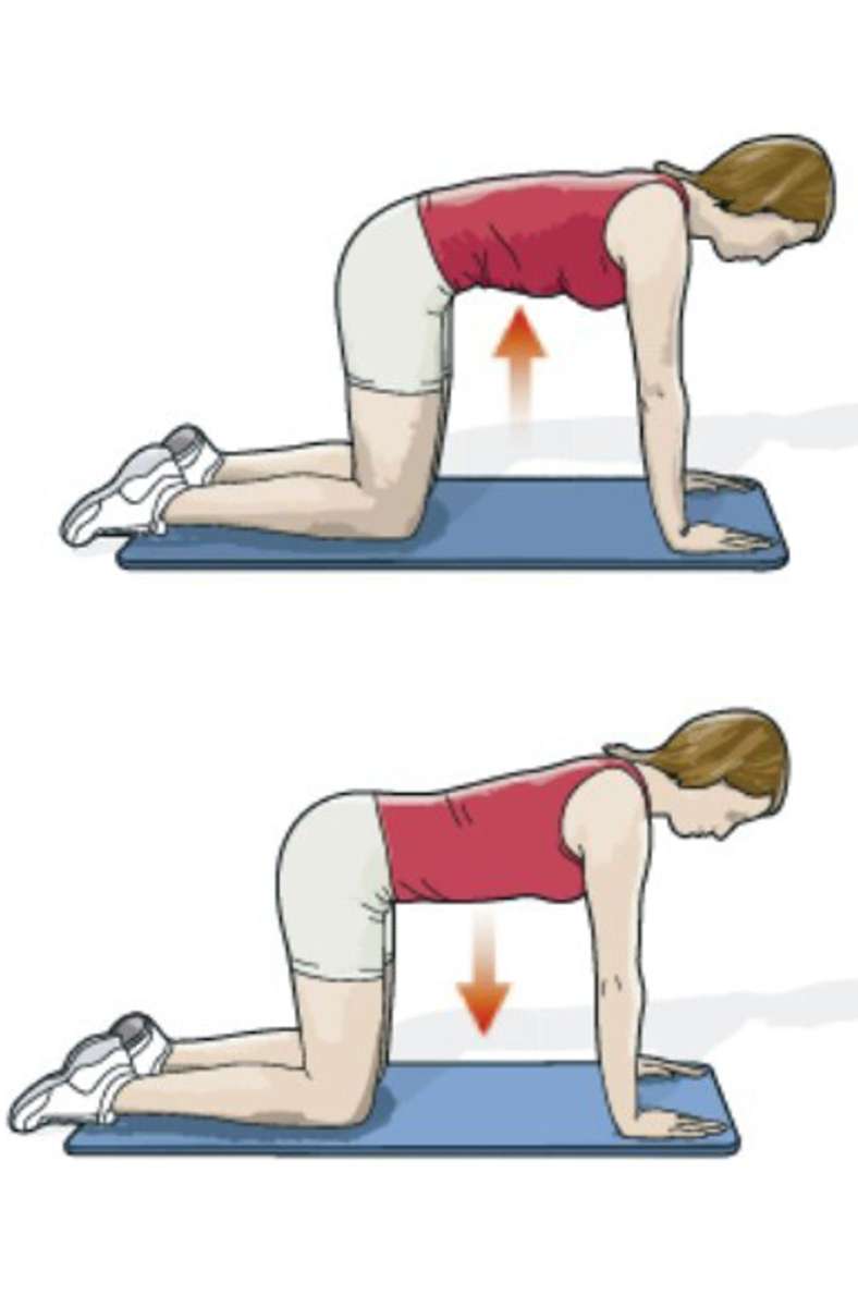 Beckenkippe – für eine gute Körperhaltung 1. Knien Sie sich auf eine Matte, die Hände stehen unter den Schultern und die Knie unter den Hüften. Der Rücken ist neutral. Tief einatmen. 2. Ausatmen, die Bauchmuskeln kräftig einziehen und den Bauchnabel Richtung Wirbelsäule ziehen. In einer fließenden Bewegung die Krümmung im unteren Rücken umkehren und das Becken nach hinten kippen. Kopf und Rücken bilden eine Linie. 3. Locker lassen und die Übung wie gewünscht wiederholen. Mit den Bewegungen ein- und ausatmen und Zug und Druck der Bewegung tief in der Körpermitte spüren.